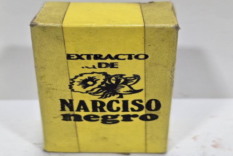 Narciso negro